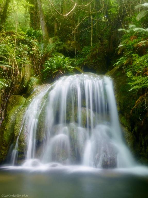 Fotografie z fotogalerie ubytování Fonda Finet v destinaci Sant Felíu de Pallarols