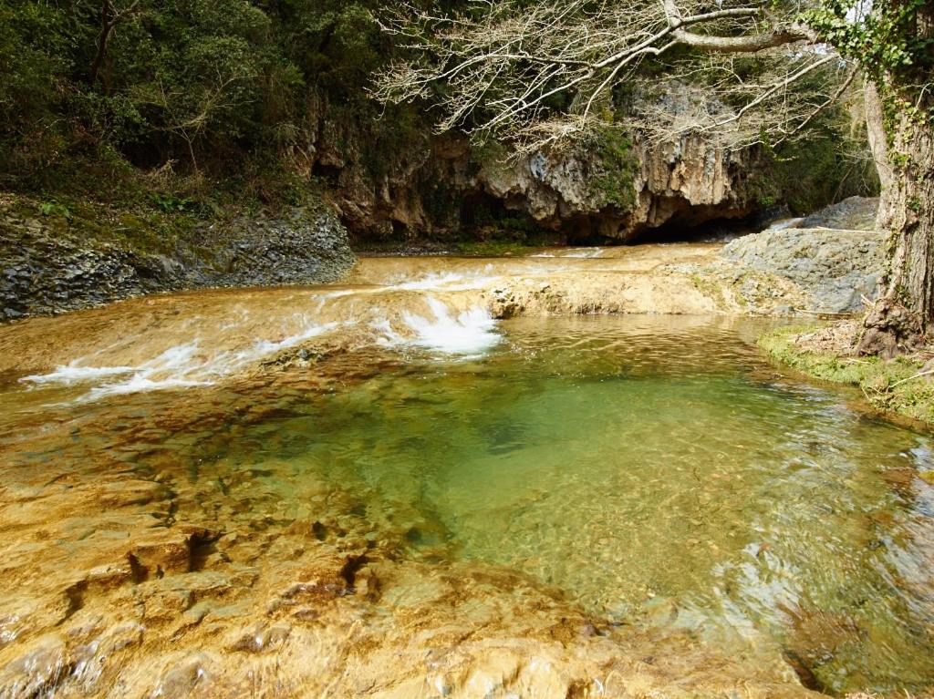 Fotografie z fotogalerie ubytování Fonda Finet v destinaci Sant Felíu de Pallarols