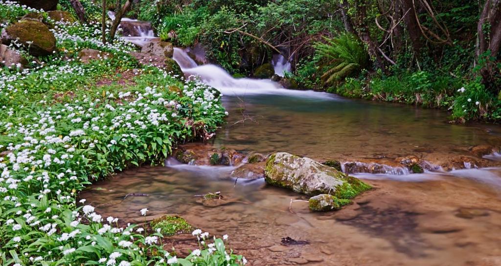 Fotografie z fotogalerie ubytování Fonda Finet v destinaci Sant Felíu de Pallarols