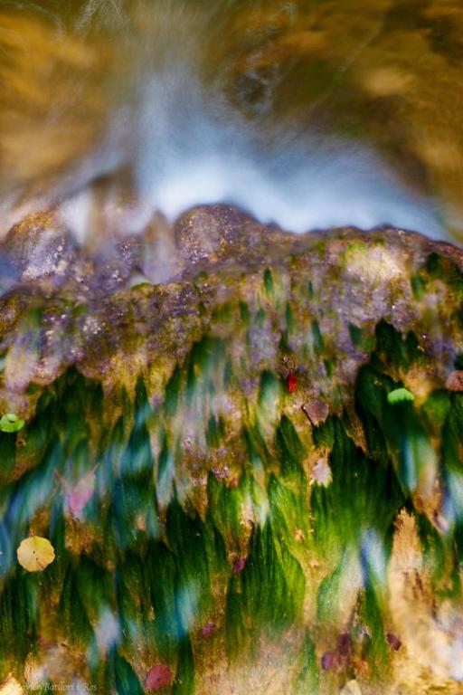 Fotografie z fotogalerie ubytování Fonda Finet v destinaci Sant Felíu de Pallarols