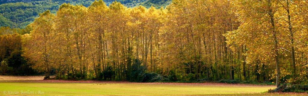 Fotografie z fotogalerie ubytování Fonda Finet v destinaci Sant Felíu de Pallarols