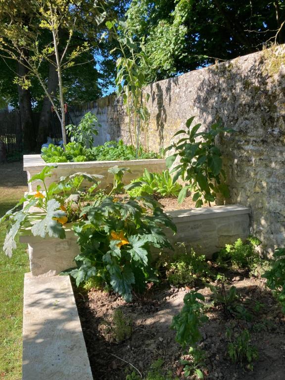Zahrada ubytování Pierres et Jardins