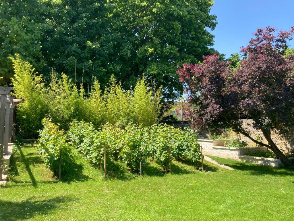 Zahrada ubytování Pierres et Jardins