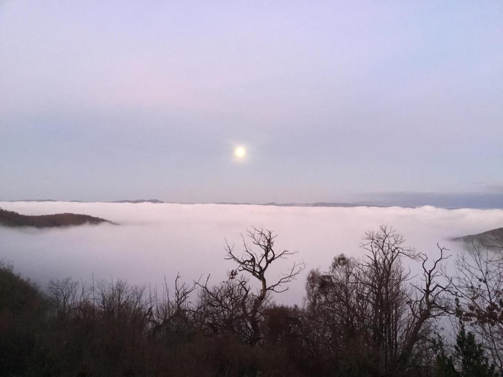 Príroda v okolí dovolenkového domu