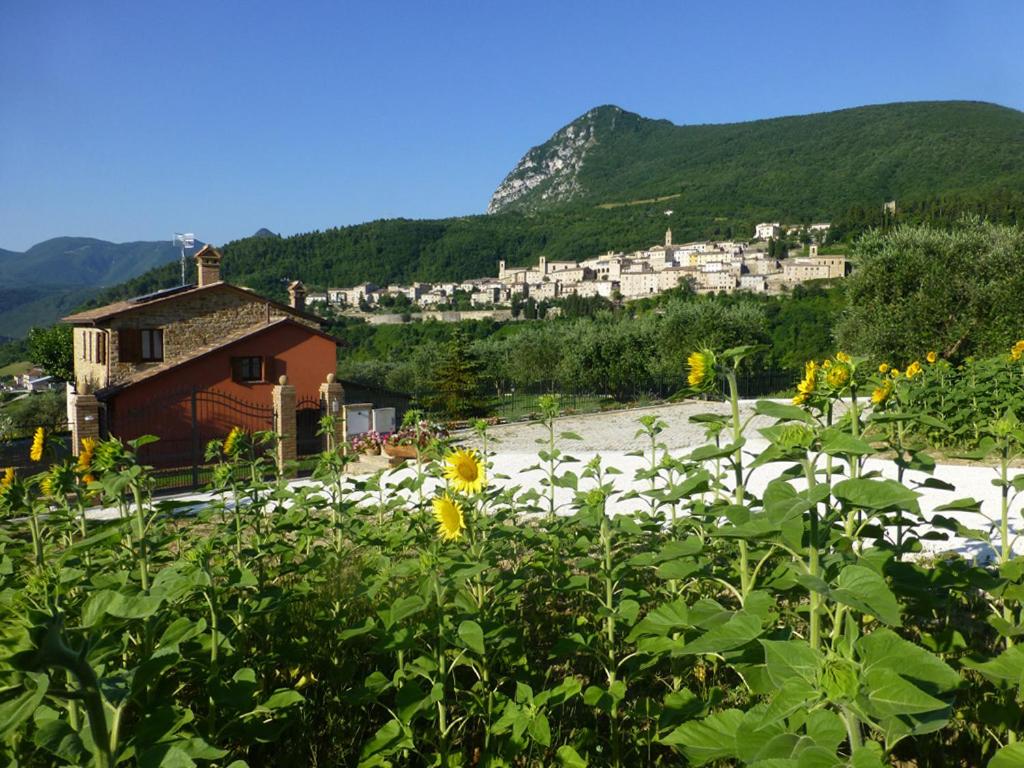 a field of sunflowers in front of a village at Country House Le Grazie in Serra San Quirico