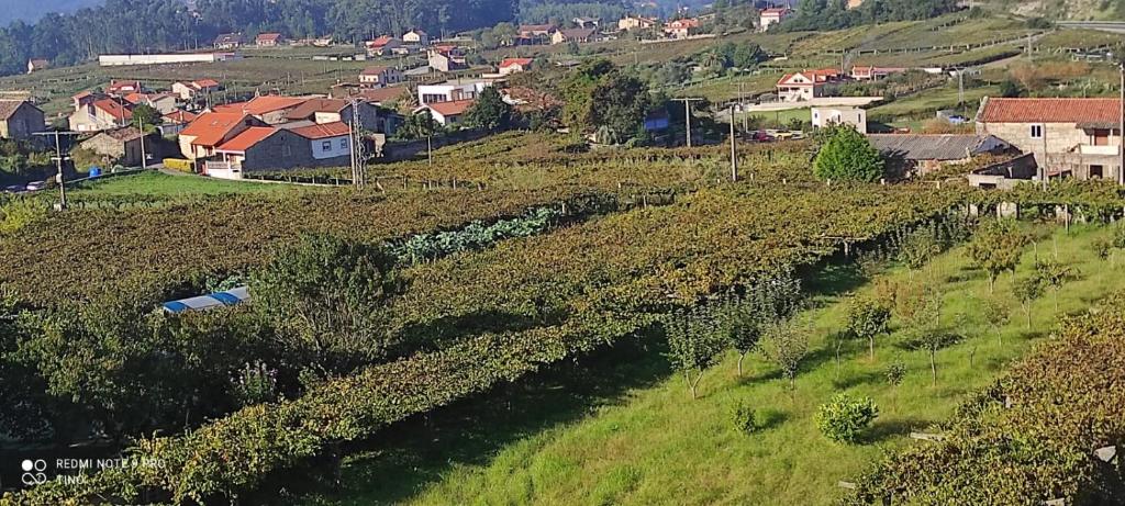 uma vista aérea de um campo com casas e uma aldeia em Casa Rodiño em Meaño