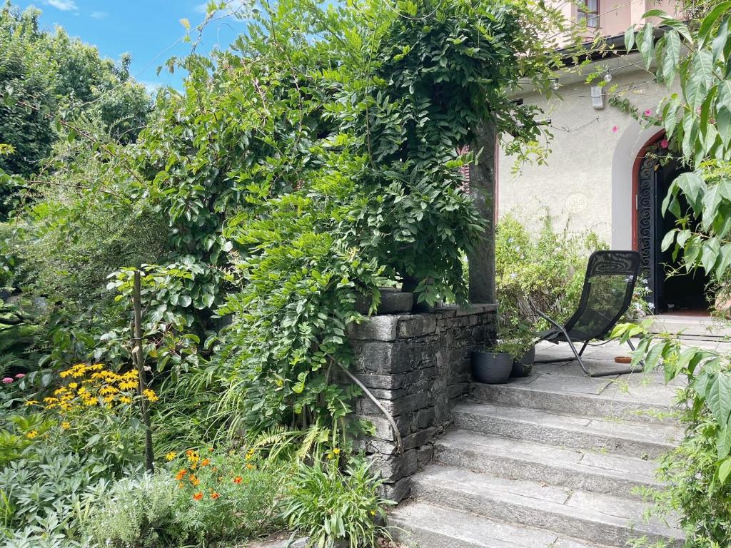 Zahrada ubytování Casa d'epoca con giardino 5 min da Locarno