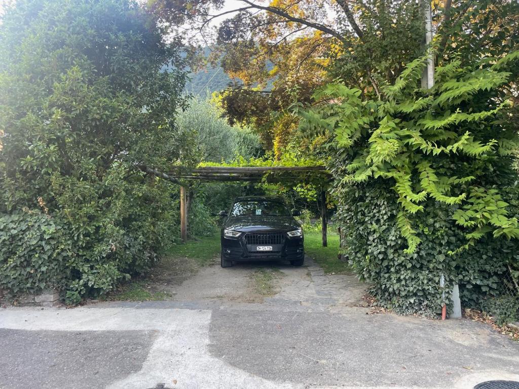 Zahrada ubytování Casa d'epoca con giardino 5 min da Locarno