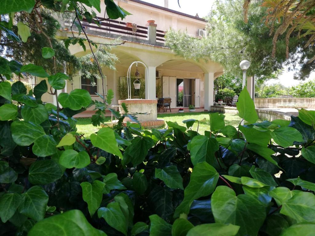 una vecchia casa con piante verdi di fronte di Casa Vacanza Angela a Pisticci