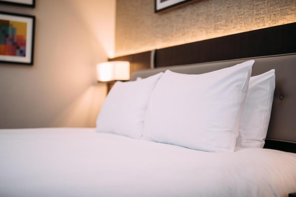 Crowne Plaza - Belfast, an IHG Hotel - Standaard King Room