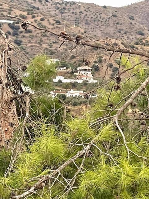 Fotografie z fotogalerie ubytování Finca Limoneros v destinaci Alora