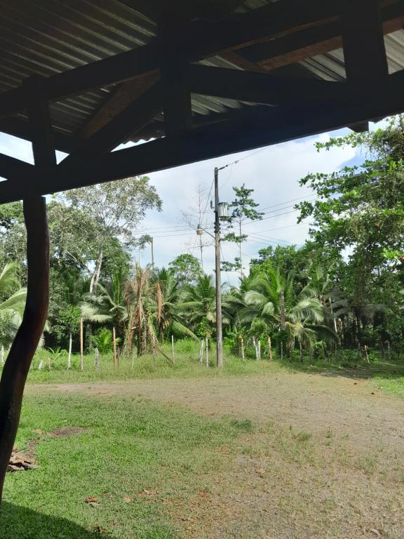 einen Blick auf ein Feld mit Bäumen im Hintergrund in der Unterkunft Paraíso Tropical Boca del Silencio 