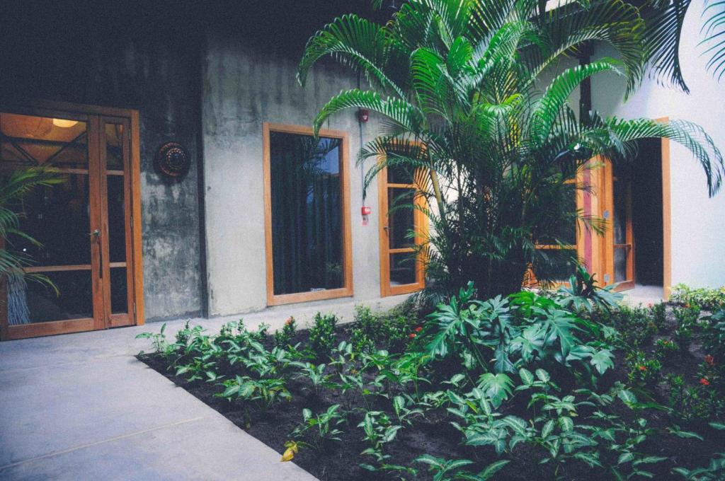Zahrada ubytování Hotel Casa Panama