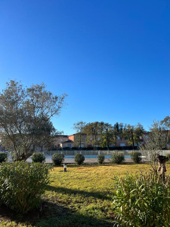 un champ d’herbe avec des arbres et des bâtiments en arrière-plan dans l'établissement Maison Alma, à San-Nicolao