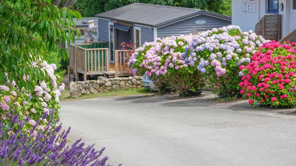 Vonkajšia záhrada v ubytovaní Camping le Dolmen, Carnac, Morbihan