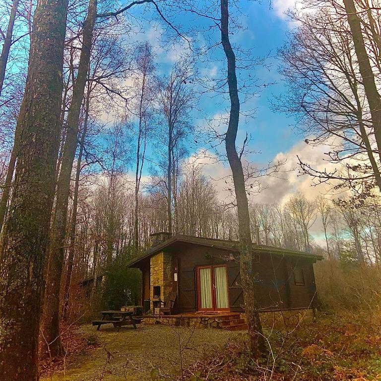 een kleine hut midden in een bos bij Village de vacances d'Oignies in Petit Mesnil