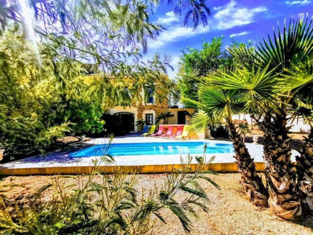 une piscine dans un jardin planté de palmiers dans l'établissement Villa Napoléon, à Saint-Nazaire-dʼAude