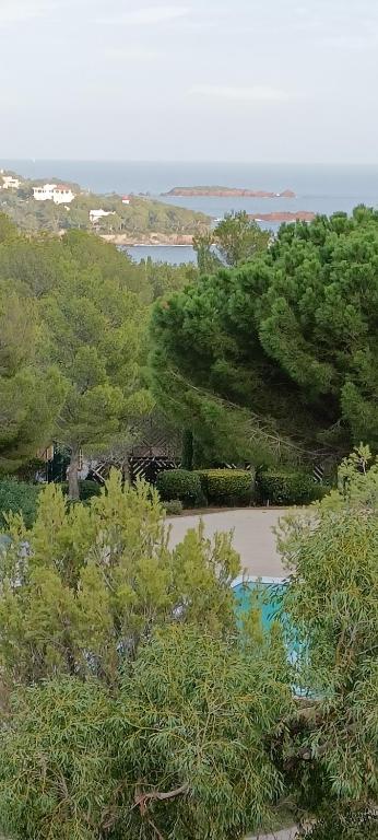 a view of trees and a body of water at CAP ESTEREL VILLAGE VACANCES T2 vue mer AGAY in Saint-Raphaël