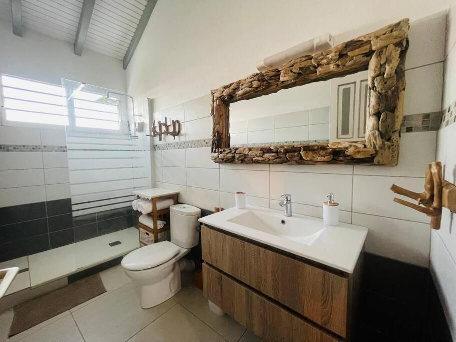 a bathroom with a toilet and a sink and a mirror at Logement « Indigo » in Capesterre