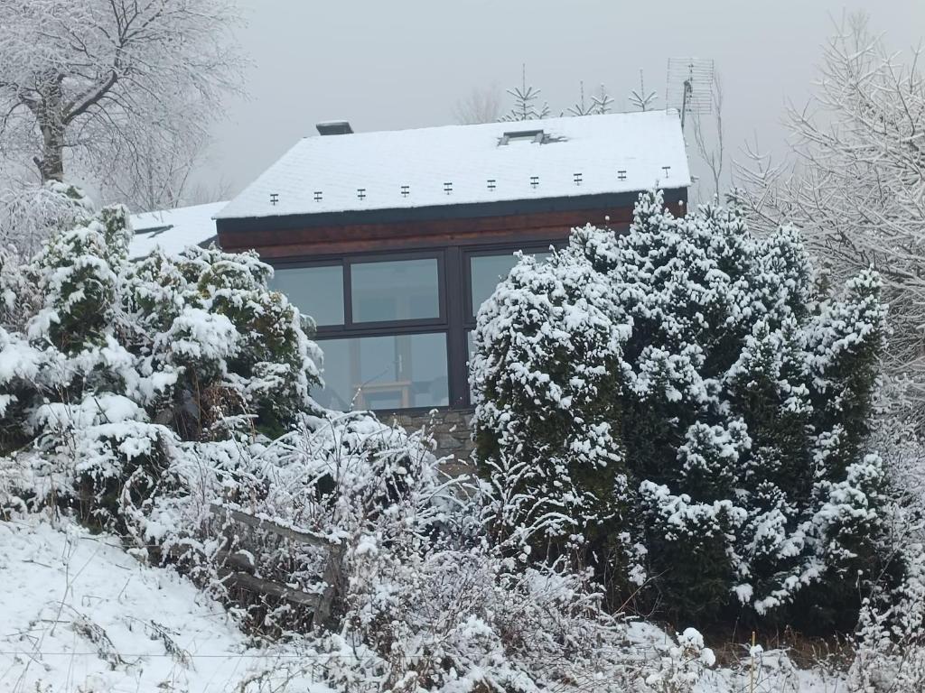 chalet près des pistes avec vue panoramique v zimě