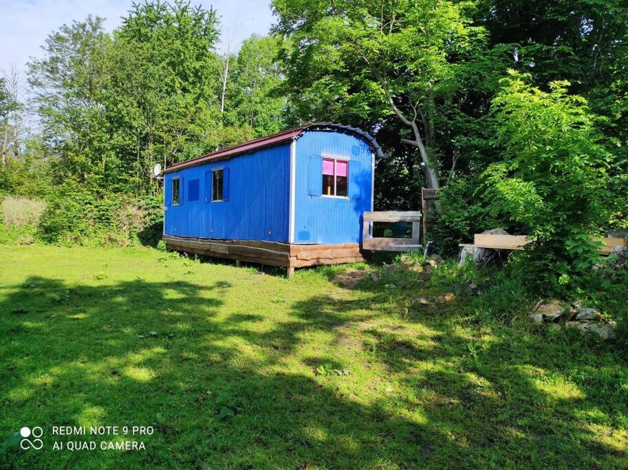 a blue shed sitting in the middle of a field at Urlaub auf dem Reiterhof am See in Görlitz in Görlitz