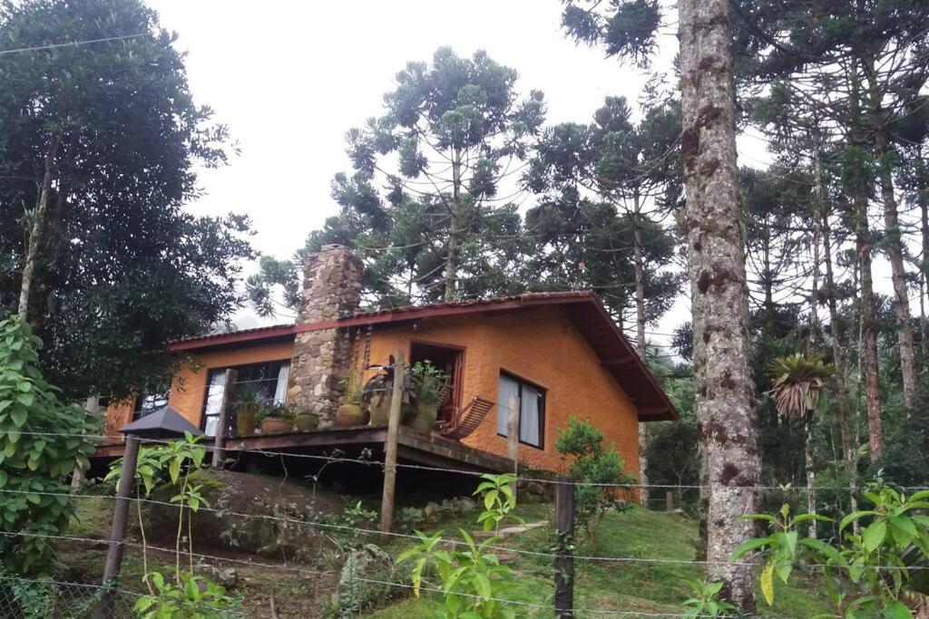 サン・フランシスコ・シャヴィエルにあるQuinta das Araucariasの森の中の家