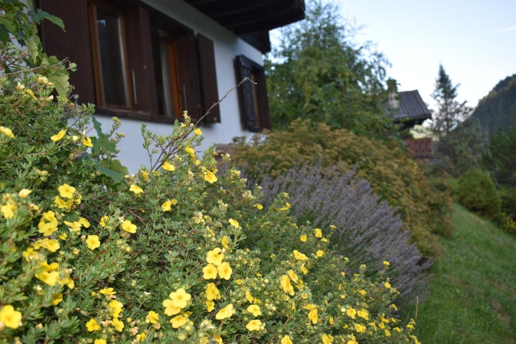Zahrada ubytování Chalet entier pour l'été