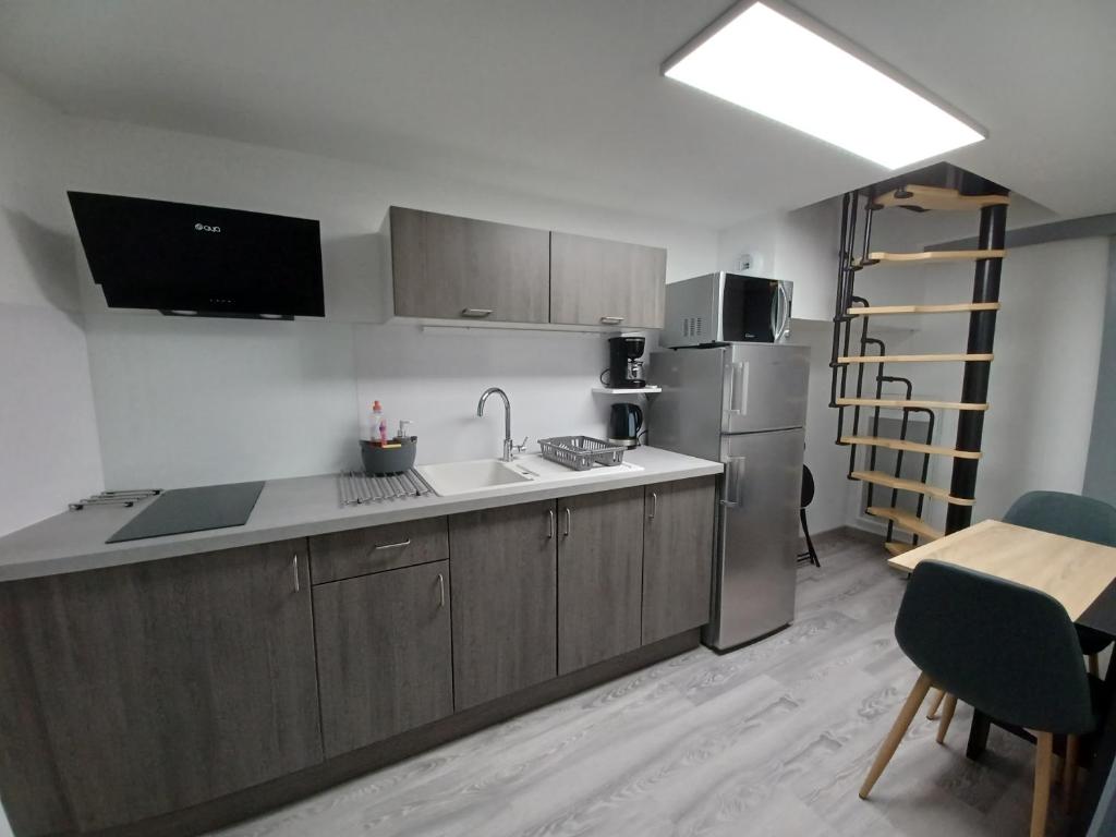 富瓦Charmant T2 duplex Centre de Foix的带水槽和冰箱的厨房