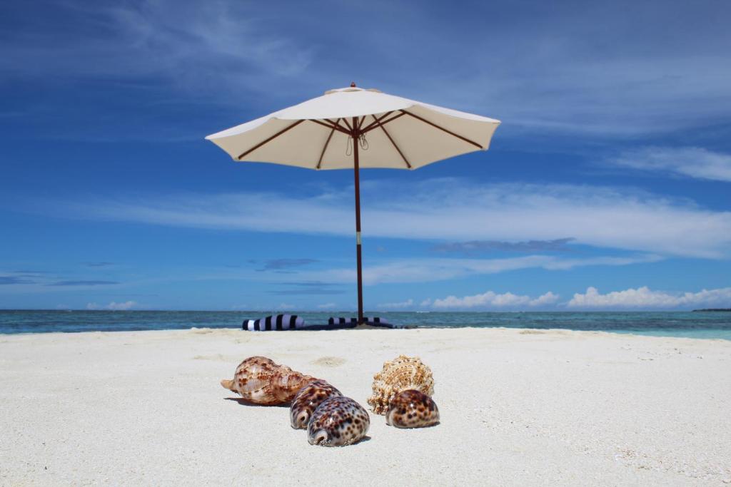 MAMELLO Beach Club Maldives - 15