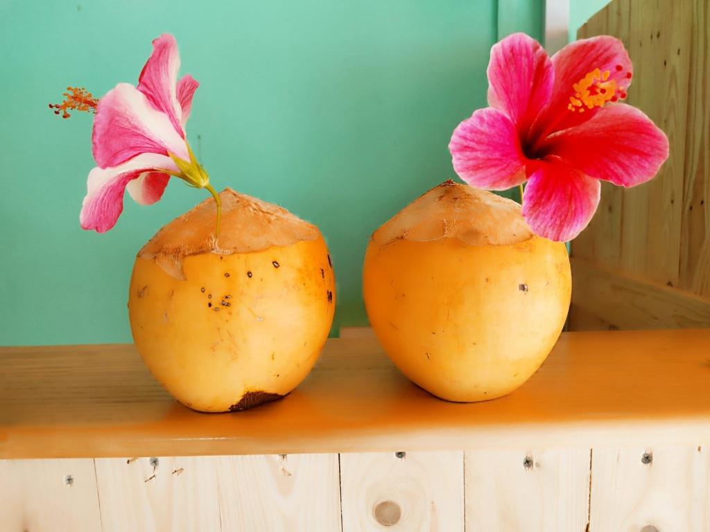 MAMELLO Beach Club Maldives - 14