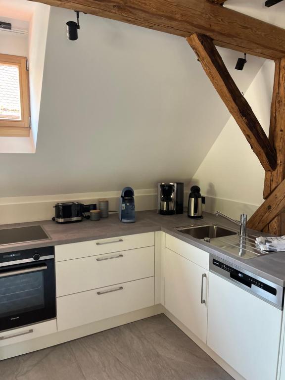 Kuchyň nebo kuchyňský kout v ubytování Neu - Wenkheimer Hof Scheunen-Loft