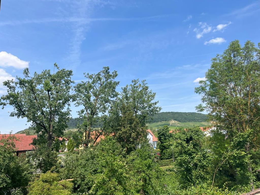 Příroda nedaleko apartmánu