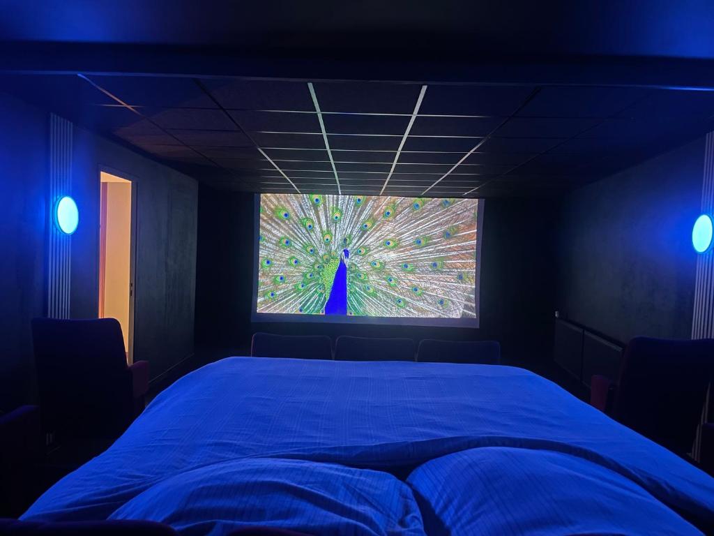 sypialnia z łóżkiem i oknem z pawem w obiekcie Cinema Paradiso - Appartement de charme avec Sauna, Hammam, spa w mieście Issoudun
