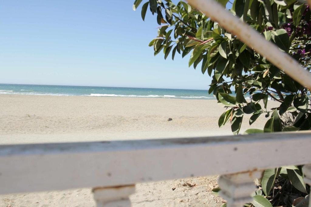 リンコン・デ・ラ・ビクトリアにあるApartamento en la Playa con Patio Privadoの海を背景にビーチを望む