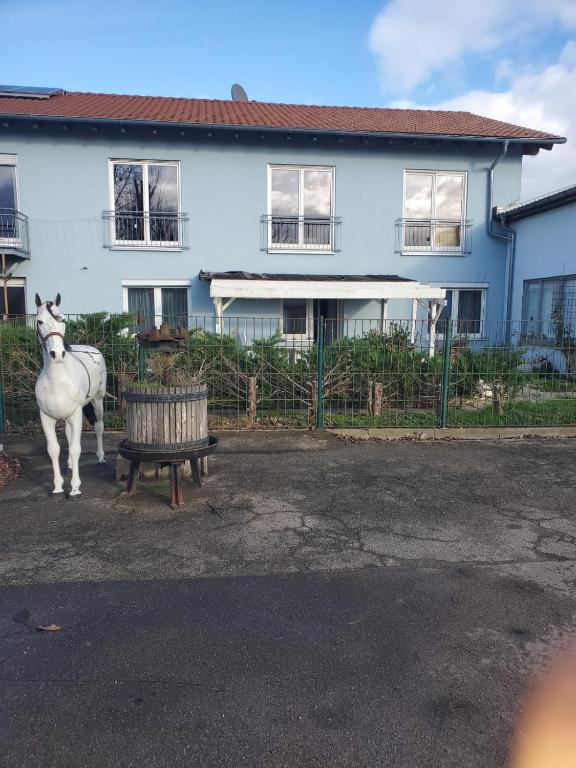 un caballo blanco parado frente a una casa en Große 3 Zi Wohnung auf der Pferde Farm, en Lahr-Dinglingen