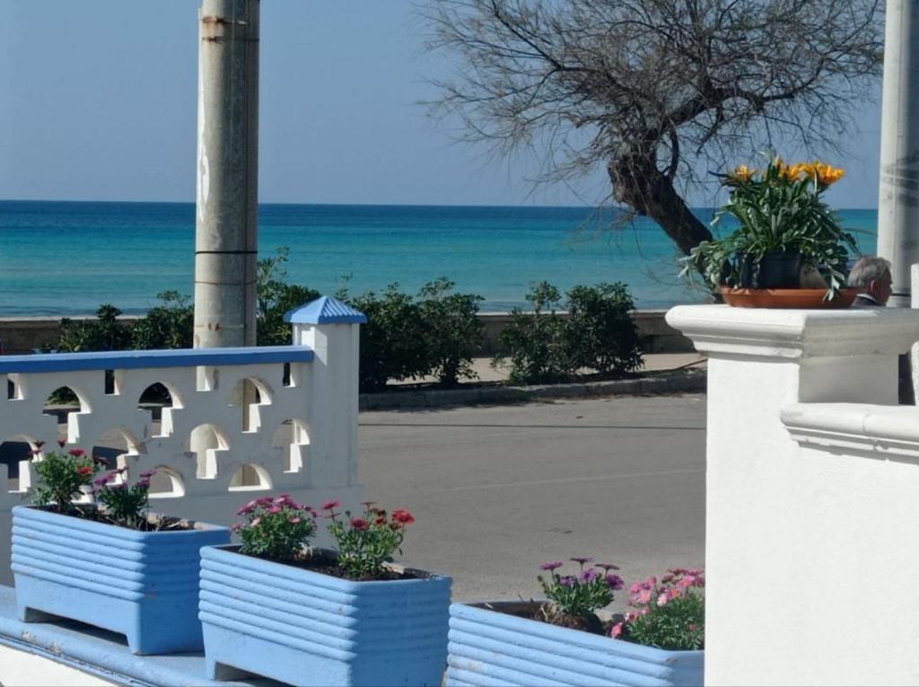 Foto dalla galleria di Casa Vacanza Nicola a Torre Vado