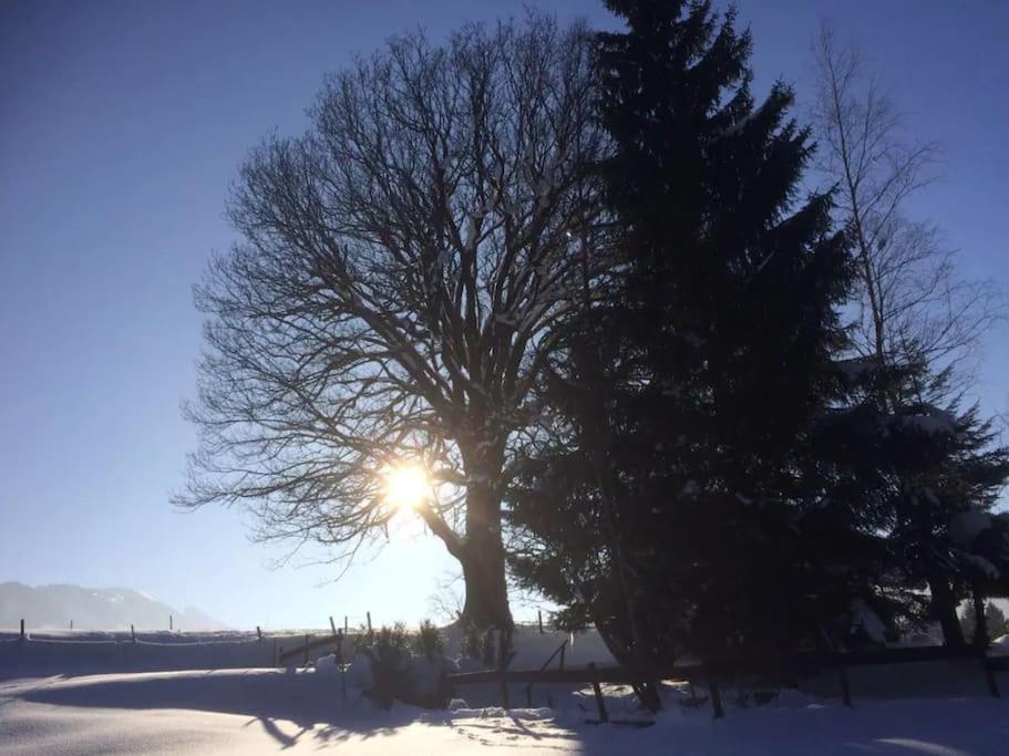 Grünes Stüble Allgäuer Alpen v zimě