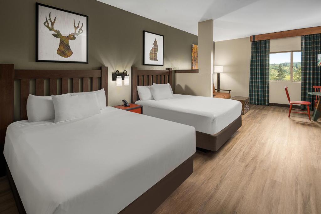 Great Wolf Lodge Grand Mound - Majestic Bear Suite