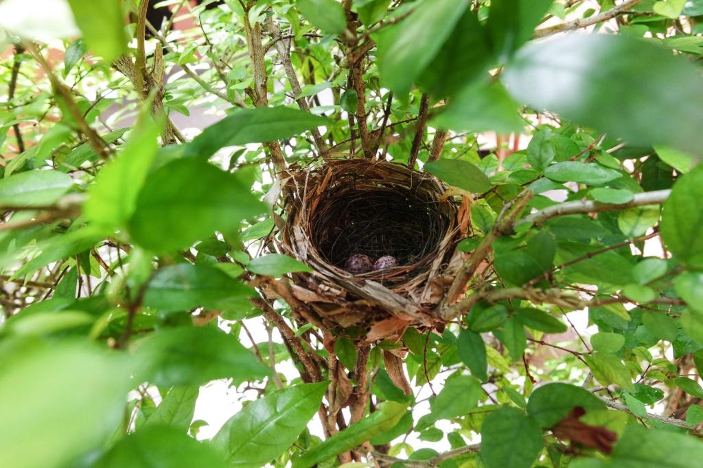 Korsiri Pool Villas - 4