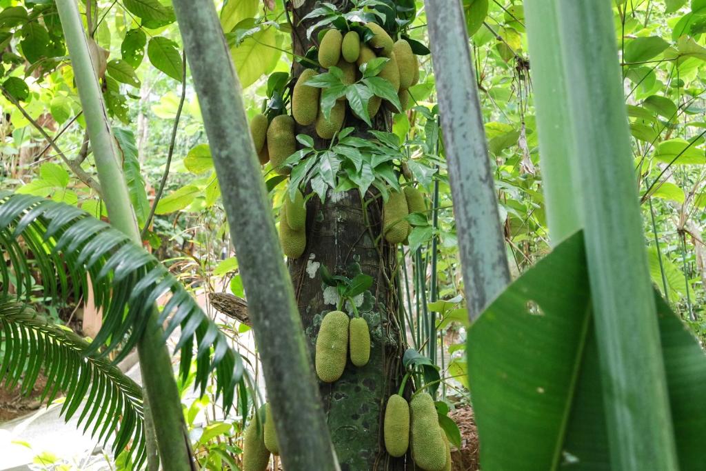 Korsiri Pool Villas - 6