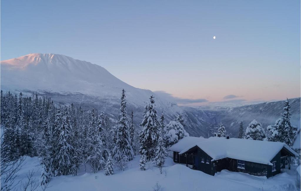 Stunning Home In Rjukan With Wifi om vinteren