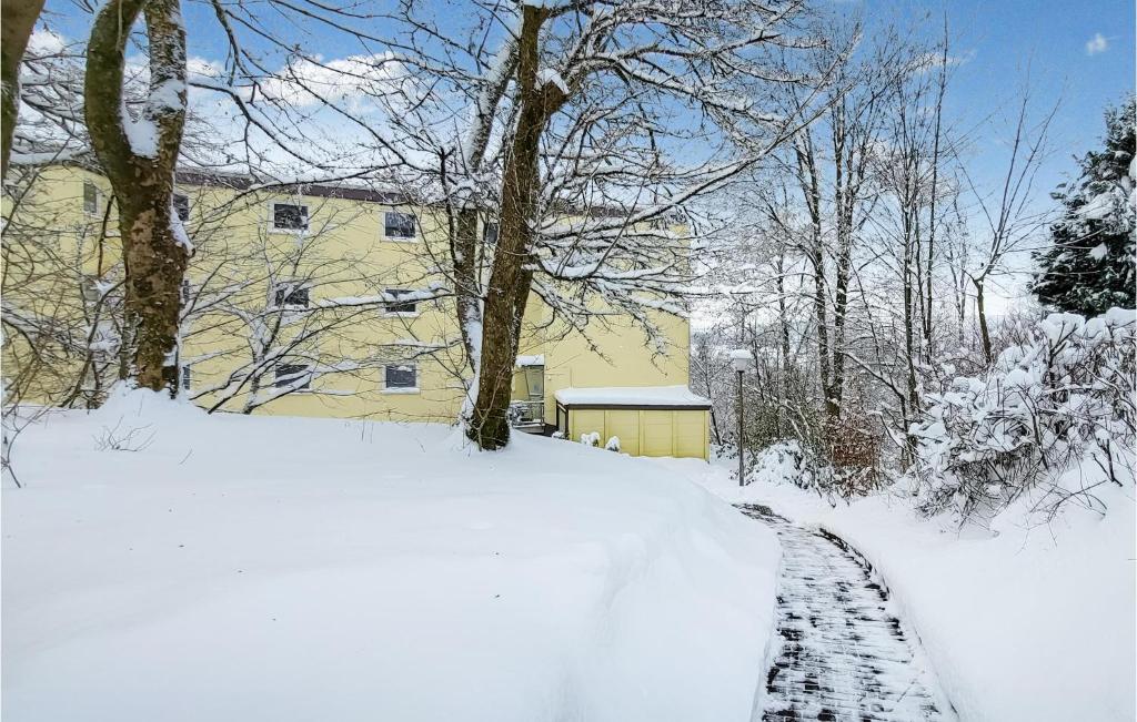 um caminho coberto de neve em frente a um edifício em Nice Apartment In St, Andreasberg With Kitchen em Sankt Andreasberg