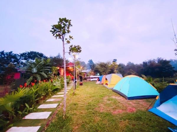 un groupe de tentes assises dans l'herbe dans l'établissement Vu Glamping, à Hue