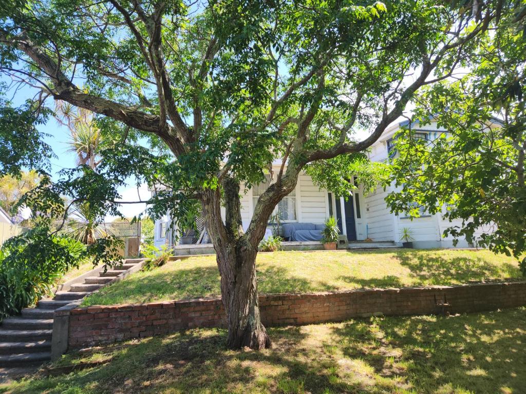 a tree in the yard of a house at Quirky Villa in Whanganui