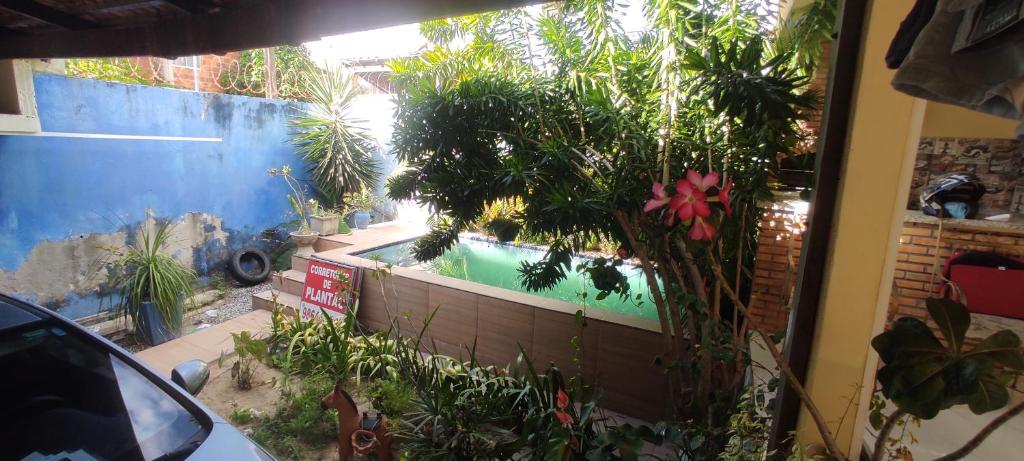 einen Hinterhof mit Pool und Pflanzen in der Unterkunft RESIDENCIAL MR HULL in Fortaleza