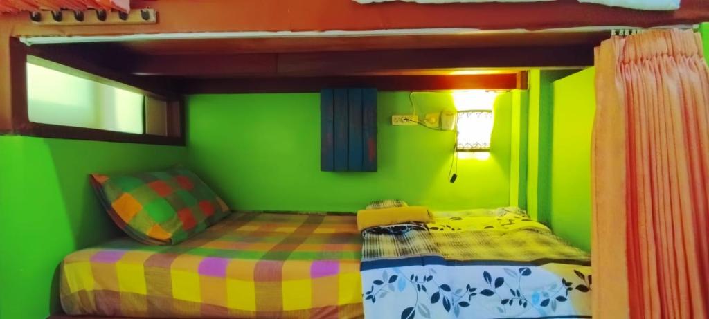 a green room with a bunk bed and a green wall at GreenView Backpacker INN in Ubud