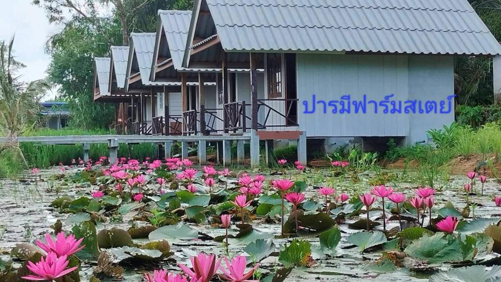 une maison avec des fleurs roses dans un étang dans l'établissement ปารมีฟาร์มสเตย์, à Ban Chao Nam