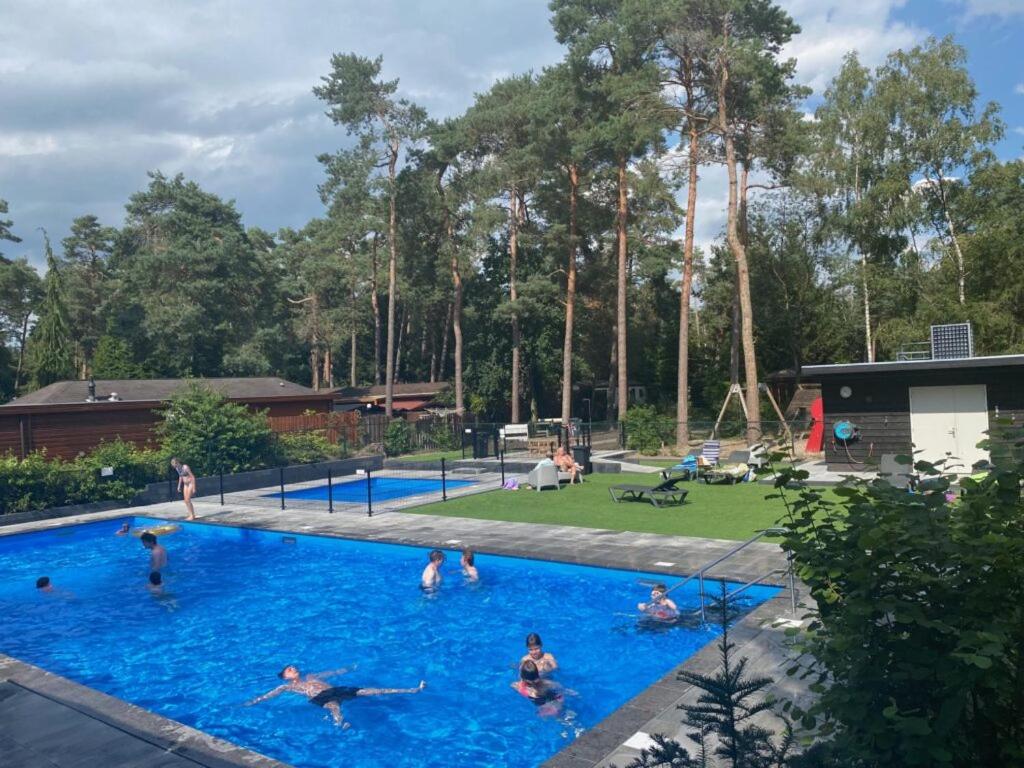 een groep mensen die zwemmen in een zwembad bij Boschalet Noord Veluwe in Doornspijk