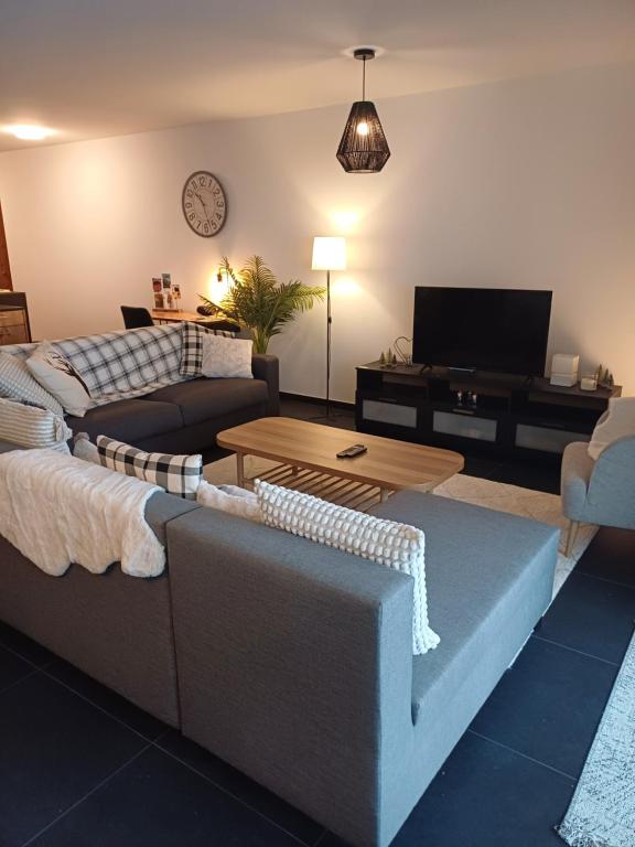 TV a/nebo společenská místnost v ubytování Spacieux appart - 2 chambres à coucher incl Jacuzzi Privé