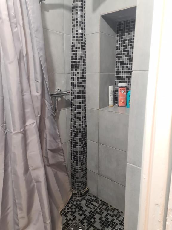 uma casa de banho com chuveiro e cortina de chuveiro em Au pied du Sacré Cœur em Paris
